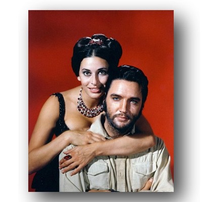 Ina Balin Elvis Presley Photo 8x10 Charro 1969 Arizona Movie Portrait