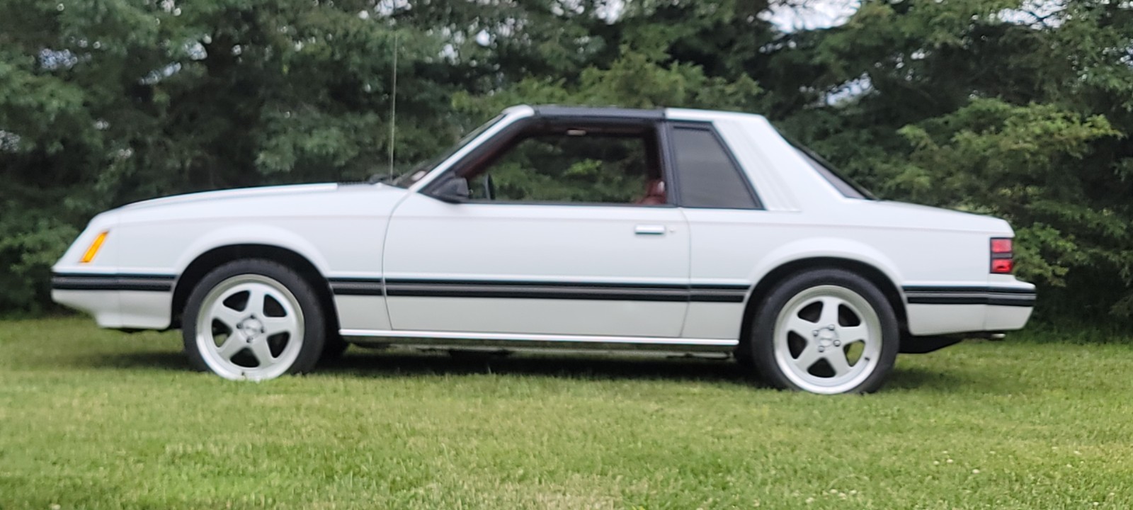 1984 Ford Mustang for sale in Lapeer Michigan