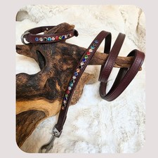 Dog Collar Lead  Oxblood Full-grain Buffalo Leather Staffy Pup Show 12-14