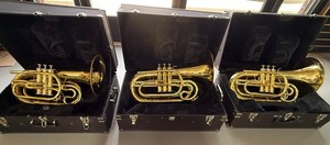 Dynasty M-570 Marching Baritone