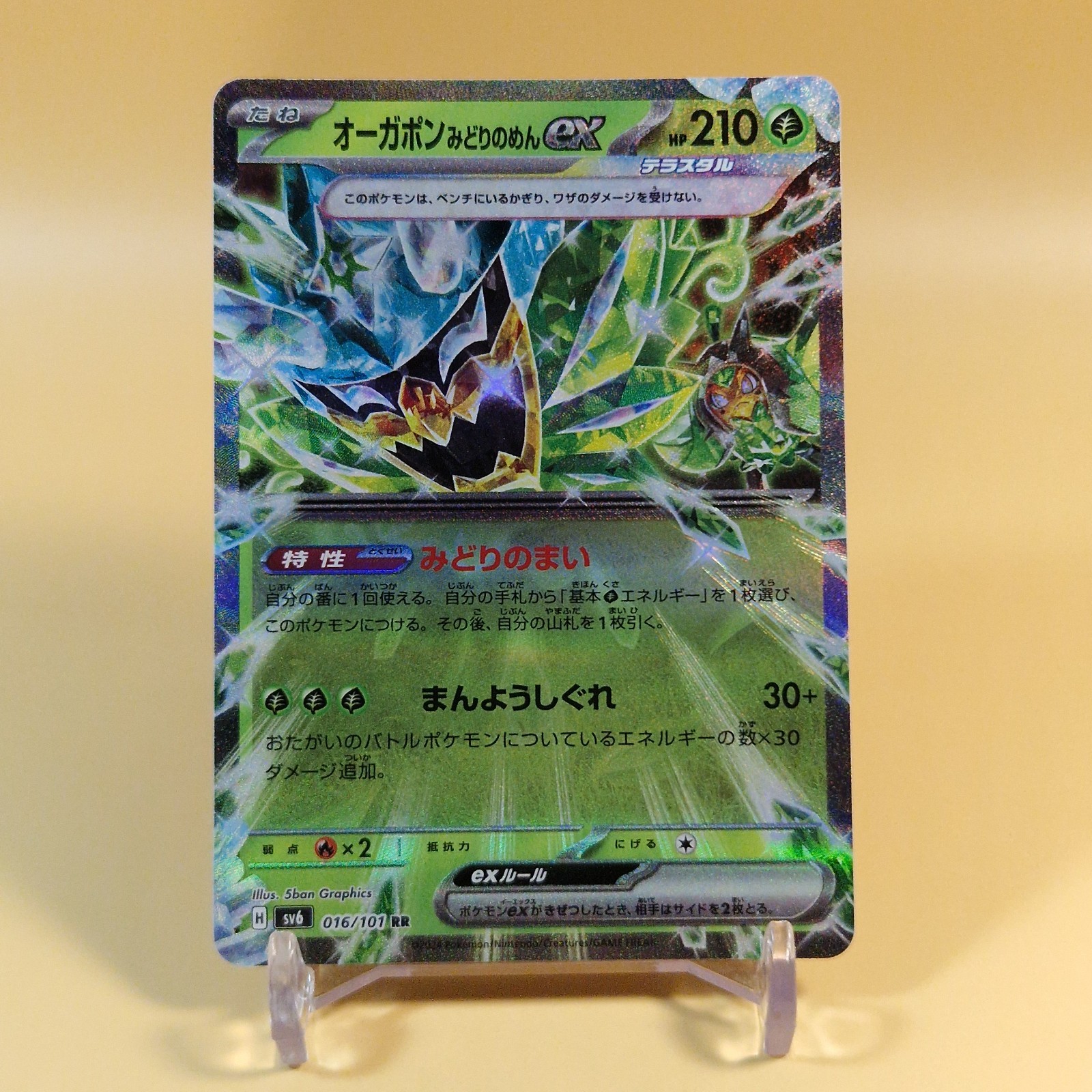Teal Mask Ogerpon Ex 016/101 sv6 Japanese Pokemon Card Near Mint 🇬🇧