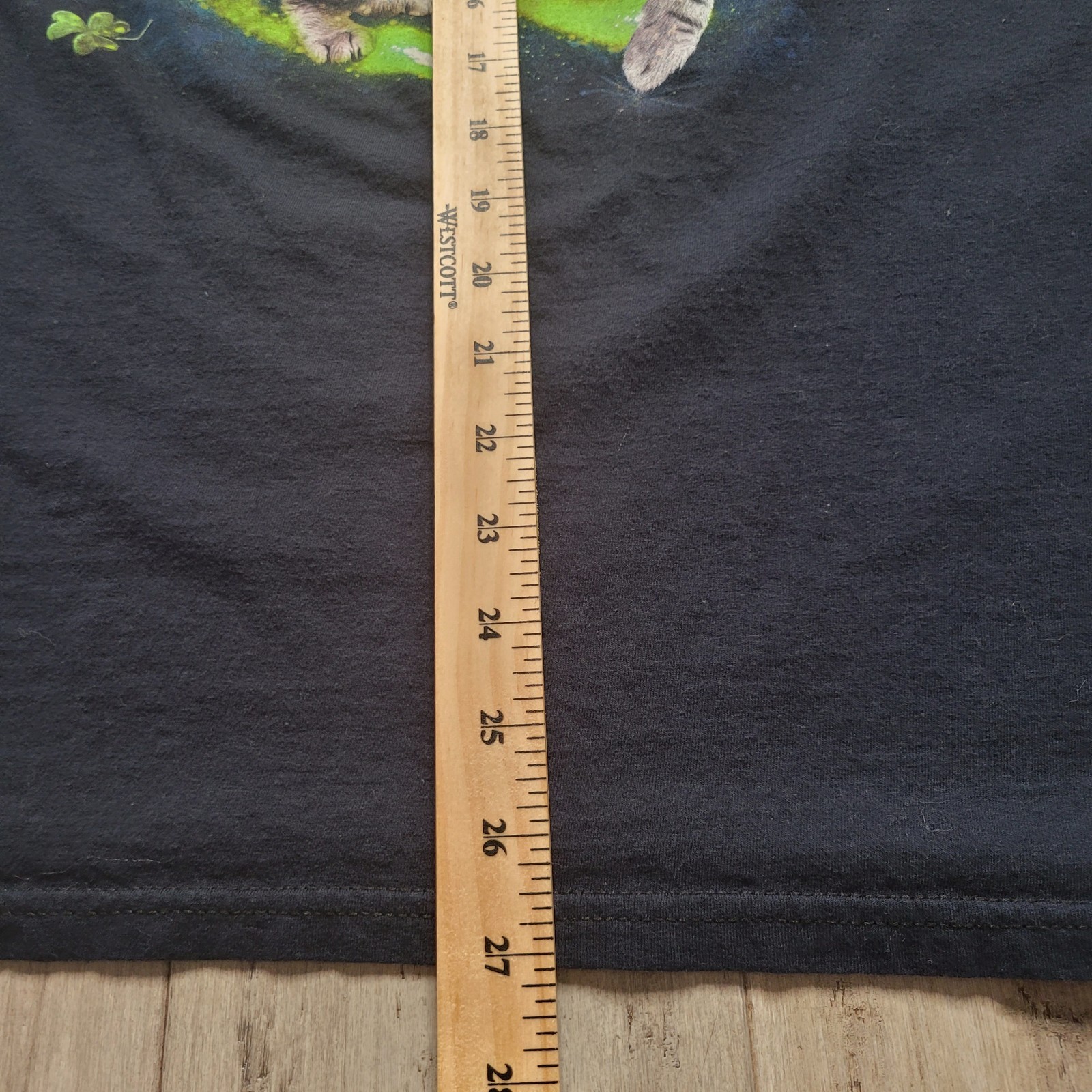 Picture 4 of 5
