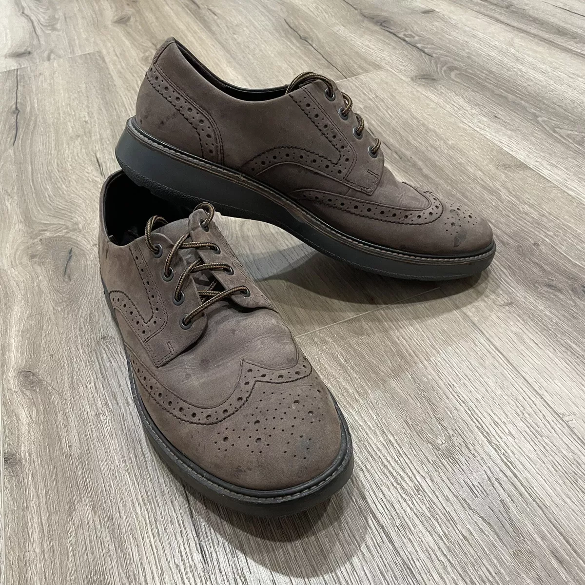 Lhasa ecco clearance