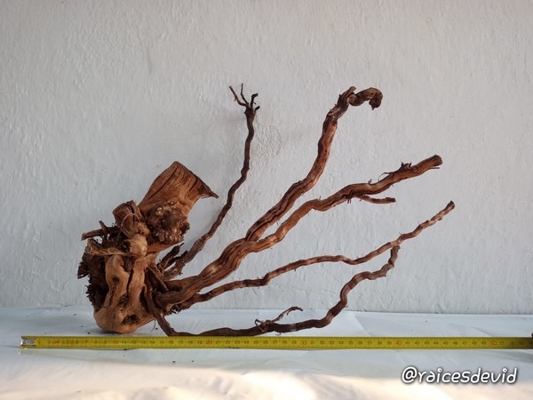 Raíz SpiderWood de madera natural ROOTSUNK  para acuarios Terrarios PALUDARIOS.