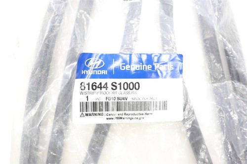 Restripa meteorológica trasera techo corredizo OEM 81644S1000 NUEVA para Hyundai Santa Fe 2019-2022 - Imagen 2 de 4