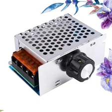 High Power Electronic Voltage Regulator Regulators Motor Controller 4000W