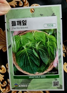 Korean Shiso Perilla Leaves/Sesame [Deul Kkaennip] (들깻잎) Seeds (700 Count)