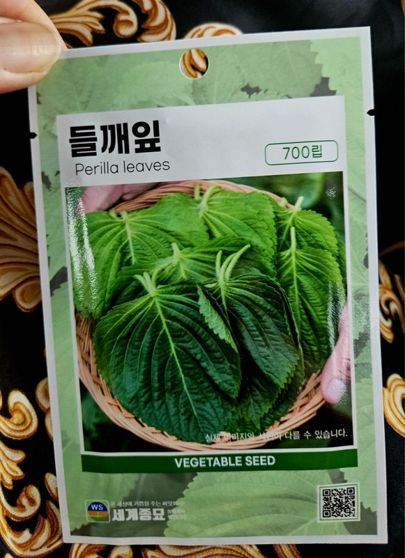 Korean Shiso Perilla Leaves/Sesame [Deul Kkaennip] (들깻잎) Seeds (700 Count)
