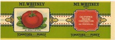 Mt Whitney Tomatoes with Puree  Can Label Cal Packing SF Griffin & Shelley