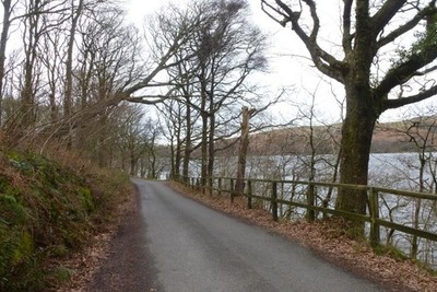 Foto 6x4 Straße neben dem See Narbenkopf läuft durch Gerichtsvollzieher Wald al c2016