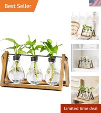 Plant Propagation Stations with Wooden Stand, Desktop Plant Terrarium Holder ...