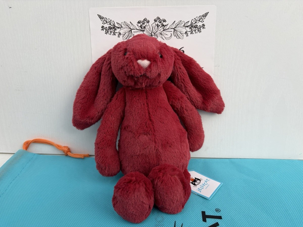 Authentic JELLYCAT Bunny 2025 Complete Set TEAL SAFFYRE ALLIUM