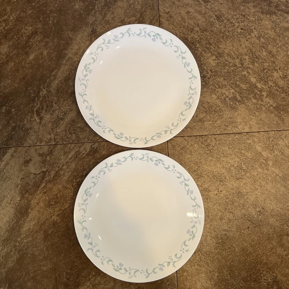 2 Platos de Cena Corelle CASA RURAL CORAZÓN LAVANDA FLORES CORAZONES 10" Foto 2 de 4