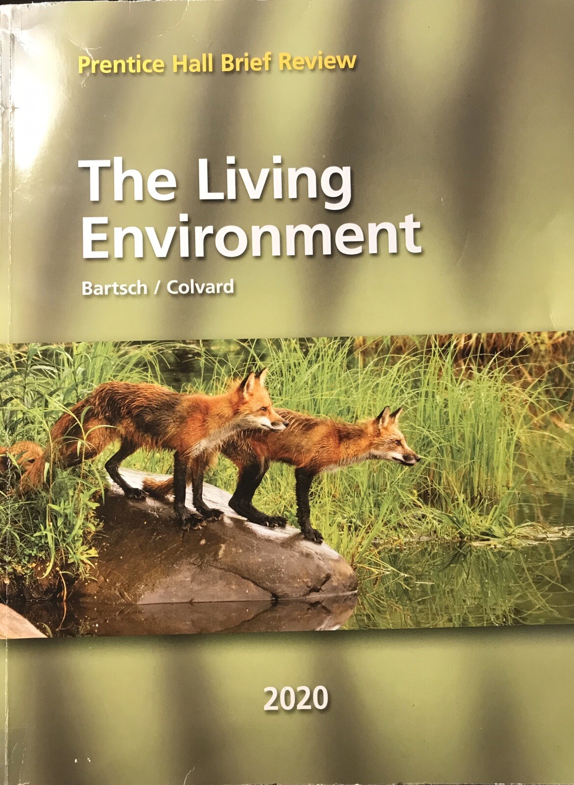 The Living Environment Prentice Hall Brief Review 2020 for sale online
