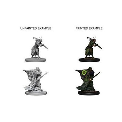 Elves D&D Nolzur's Marvelous Miniatures: Elf Male Druid
