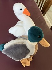 Ty Beanie Baby Gracie The Swan Drake The Mallard Duck