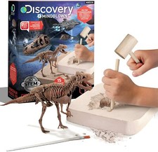 Discovery 15 Piece Dinosaur 3D Fossil Dig Excavation Kit, T-Rex Skeleton