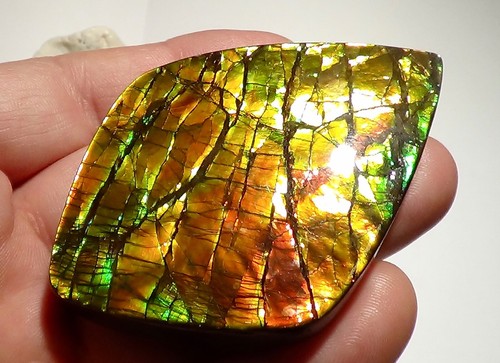 340 Carat.!! I Sammler Ammolite /Drachenschuppe Rot Grün-Golden-Orange + VIDEO - Bild 6 von 7