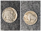 1919 Buffalo Nickel