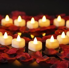2000pcs Artificial Rose Petals with 24 LED Tea Lights