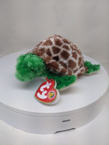 Ty Beanie Baby-TORTUGA the Turtle 6 Inch July 2006 BBOM MINT with MINT TAGS - Afbeelding 1 van 5