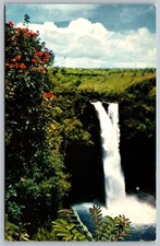 Rainbow Falls Scarlet African Tulip Trees Hilo Hawaii HI Vintage Postcard E26