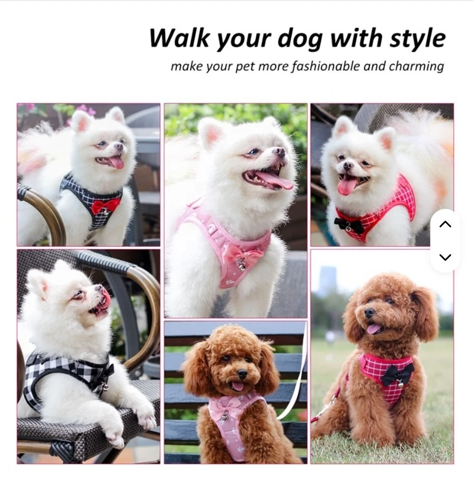 Arnés y correa para gato chaleco para caminar a prueba de escape reflectante ajustable Foto 3 de 4