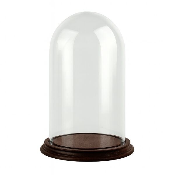 Clear Circular Glass Dome With Brown Vintage Wooden Base H:26x 15 cm