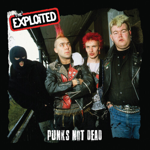 洋書 VACANT: A Diary of the Punk Years Vacant : A Diary of