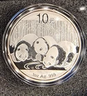 2013 China 10 Yuan Panda 1 oz .999 Fine Silver Coin