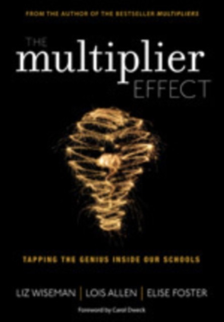 The Multiplier Effect by Elise Foster PAPERBACK 9781452271897