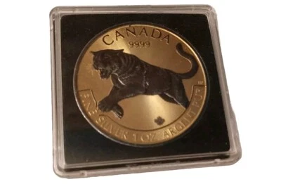Canadian Silver Coin 5$ Golden Enigma  - Bild 1 von 4