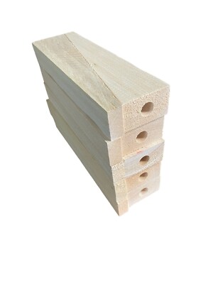 10 Balsa Dragster Blanks