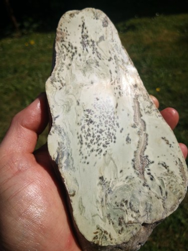 Pounamu Greenstone Nephrite Jade Dendritic Kokopu lapidary VERY RARE Natural - Picture 8 of 18