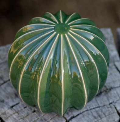 Cactus Ceramic Själsligt Swedish Design Modern Home Decor