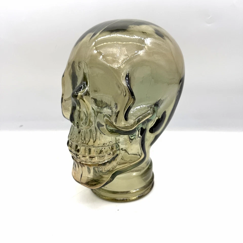 Scultura Testa Teschio Vetro Statua Anni '60 stile vintage grigio 29cm - Immagine 2 di 4