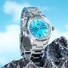 Welly Merck Watch For Men Automatic Mechanical Men Watches Luminous Dial Watch