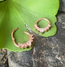 1pc Lined CZ Gem Fan Hinged Segment Ring 16g Septum Clicker Surgical Steel 