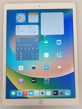 Apple iPad Pro 12,9" A1652 (2015) 1. Gen LTE 128GB Silver Lichthof #1185