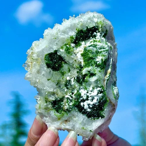 213G Rare!! Natural Clear Crystal with Epidote Garden Quartz Cluster Specimen