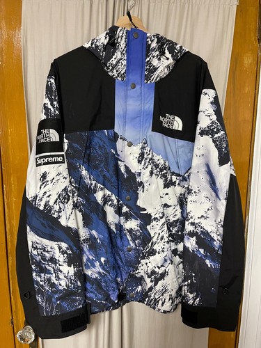 Supreme x The North Face Mountain Parka 