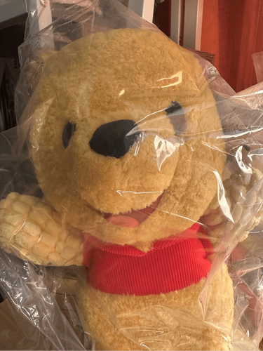 Blissful Buddies Fidget Plush - Winnie The Pooh Stuffed Animal with Embroidered - Picture 6 of 8