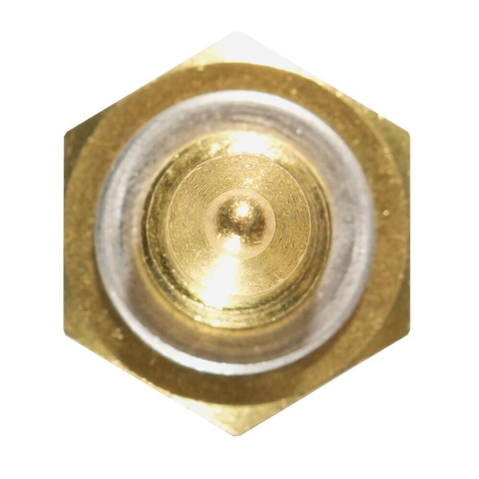 Sensor de temperatura del refrigerante del motor Delphi TS10270 Foto 4 de 4