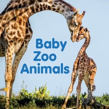 Baby Zoo Animals Board book by New Holland Publishers (Board book)