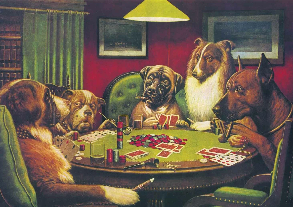 Picture of on sale dogs playing poker