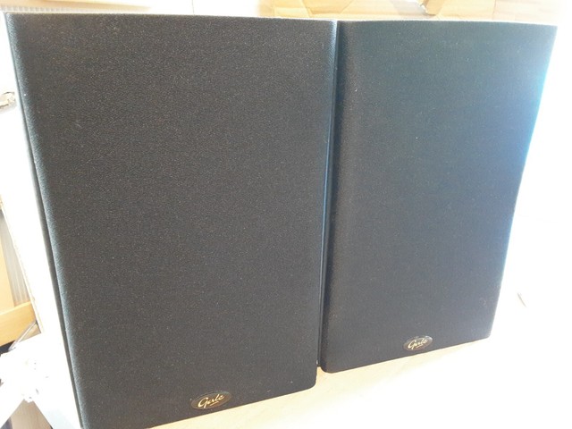 Gale Gold Monitor Main / Stereo 