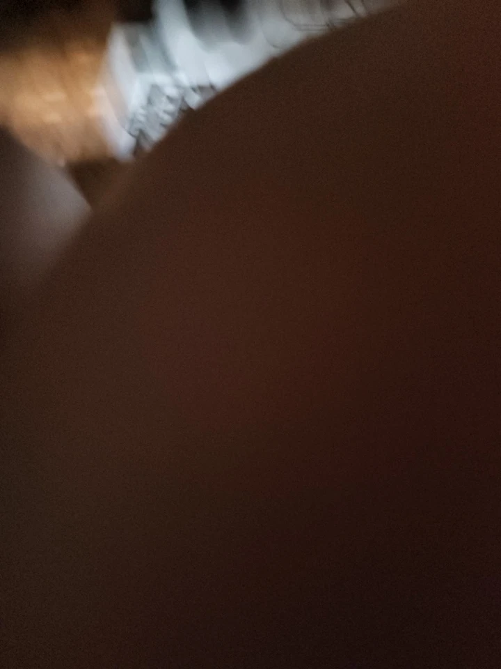 Favorites Number Four Gospel Songs for Solos Duets Trios Quartets Groups 1956 - Image 3 of 3