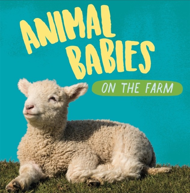 Animal Babies: On the Farm by Sarah Ridley (Hardback Book)
