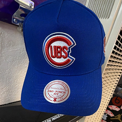 Mitchell & Ness Chicago Cubs Ernie Banks Lids Player Chase Series 2 Autographed
