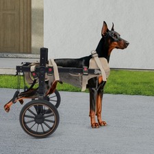 Dog Wheelchair For Back Legs Size XL Pet Rehabilitation Walking Aid 143 Lb.